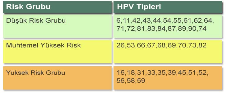 hpv tipleri